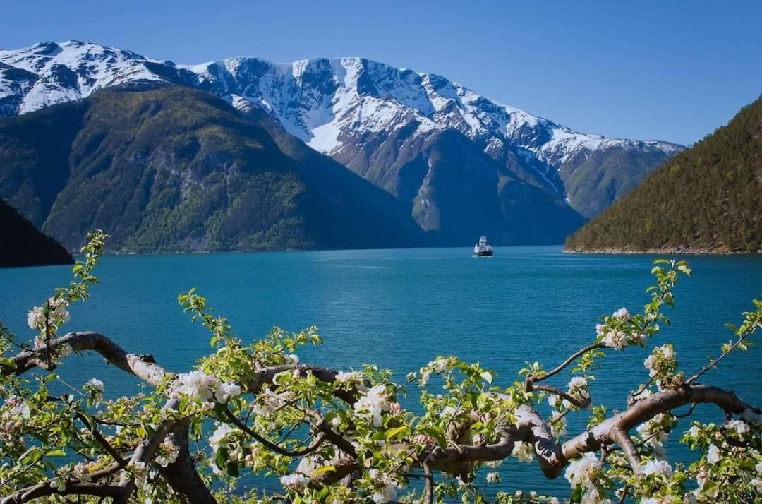Nedre Amla Fjord Apartment Kaupanger Zewnętrze zdjęcie