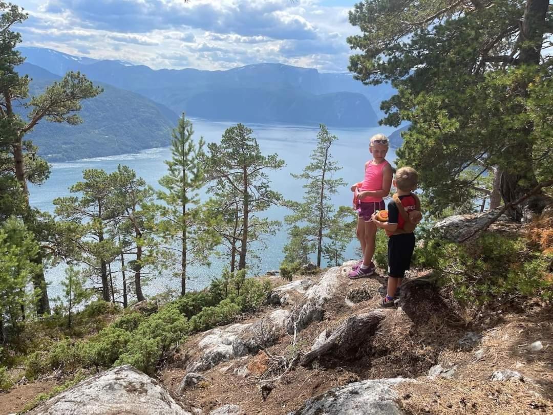 Nedre Amla Fjord Apartment Kaupanger Zewnętrze zdjęcie